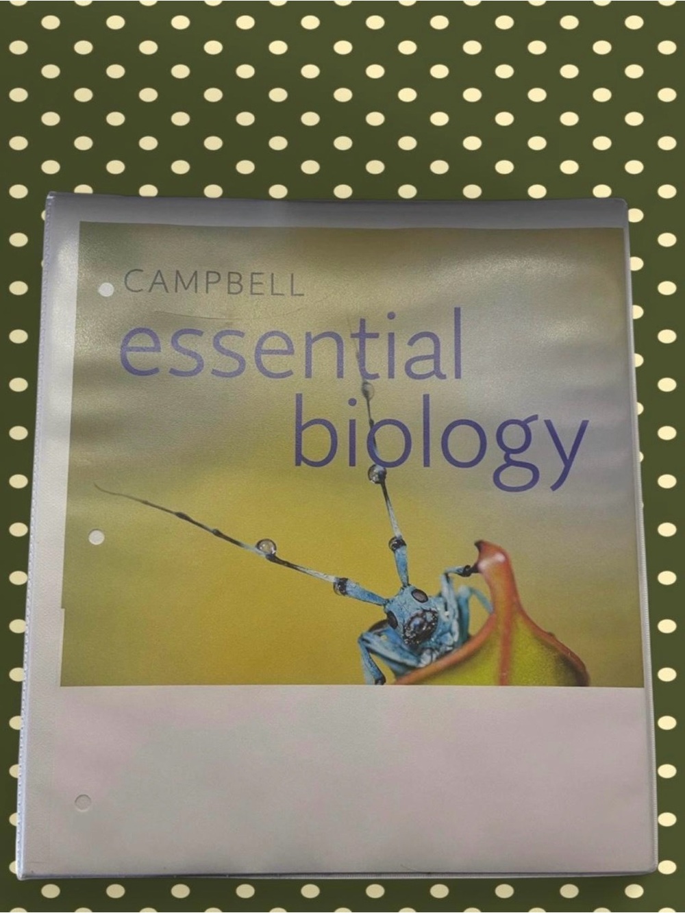Campbell Essential Biology Binder Textbook🧬